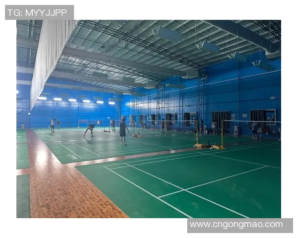 广州羽毛球队的转型之路与深度解析羽毛球运动的未来发展