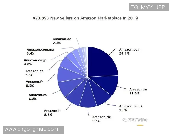 武汉攀岩队节奏表现数据分析揭示训练与比赛的关键因素