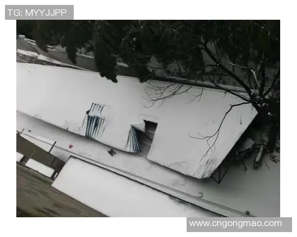 罗马罕见雪灾，古城居民如何智慧应对严寒？